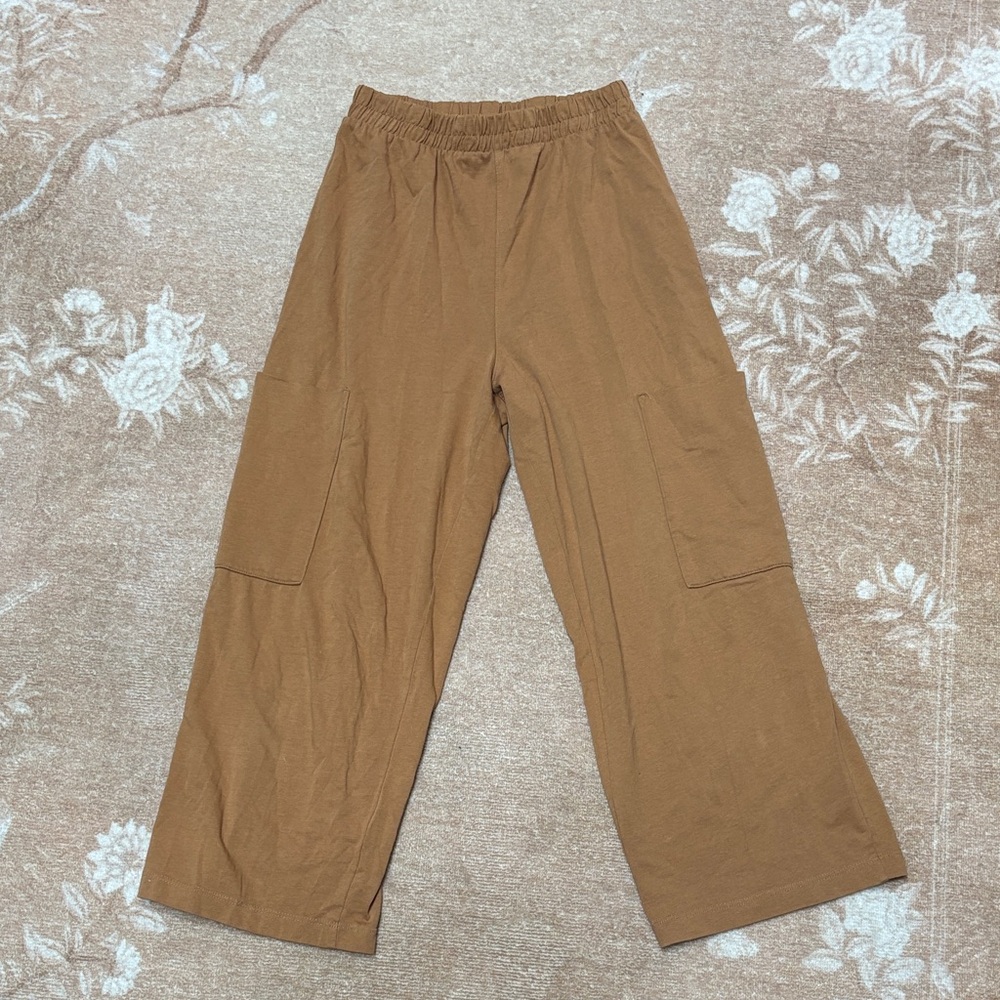 Zara cropped tan Pants